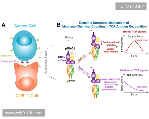 生物力学分析系统辅助动作矫正 训练损伤率下降18%